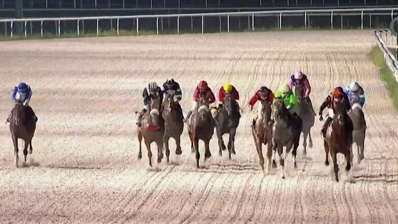 Hípica - Circuito nacional de carreras de caballos, desde el Hipódromo de La Zarzuela (Madrid) - RTVE.es