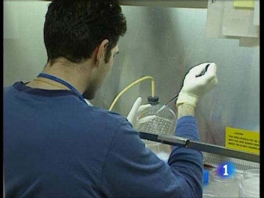 Ciencia y tecnología en Rtve.es - Células madre