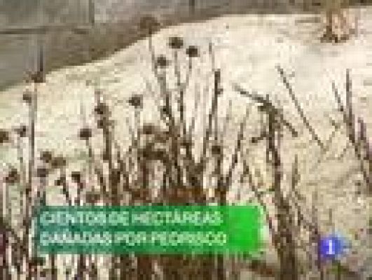 Noticias Murcia - Noticias Murcia - 10/08/09