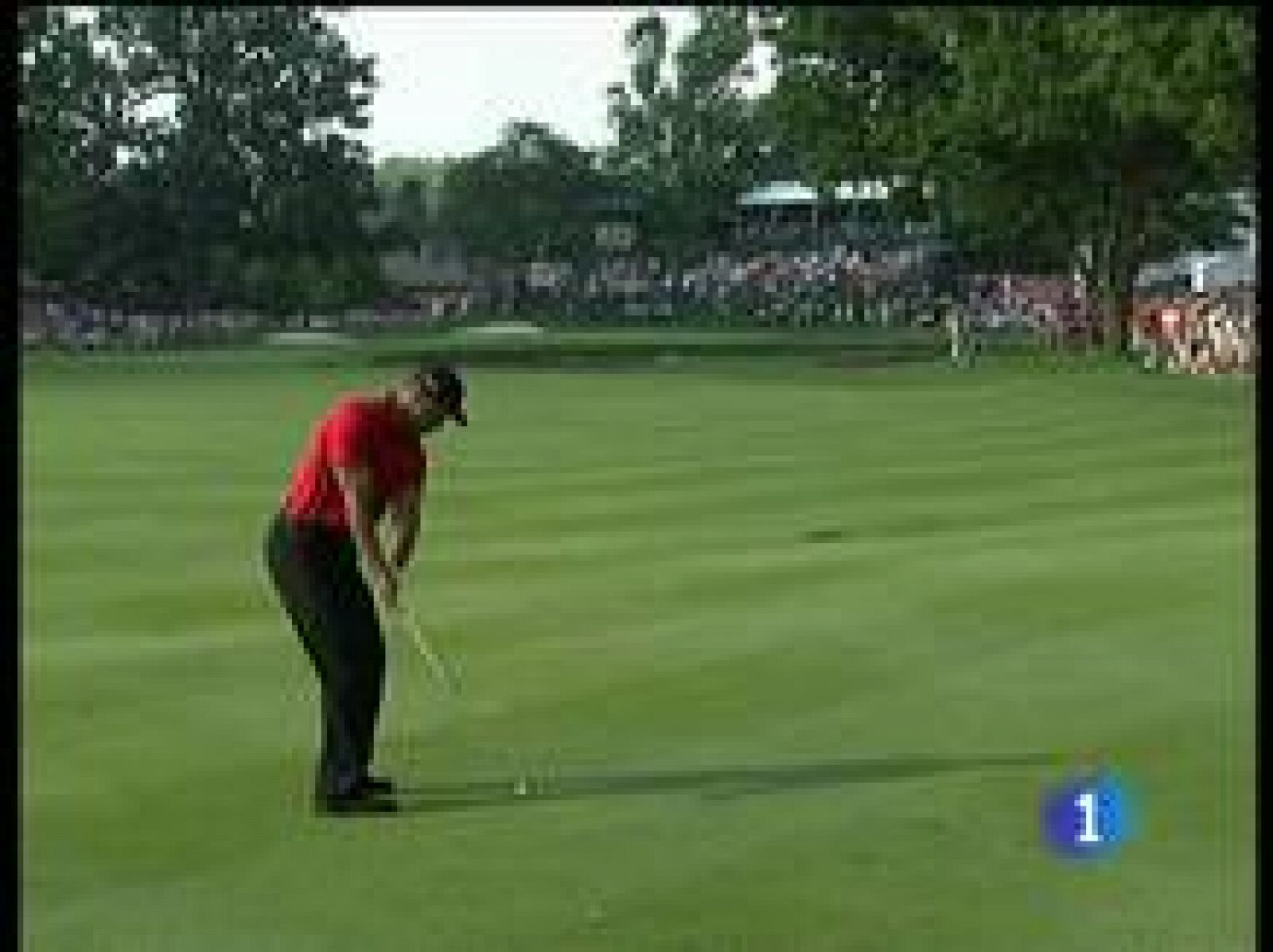 Sin programa: Tiger Woods, vencedor en Akron | RTVE Play