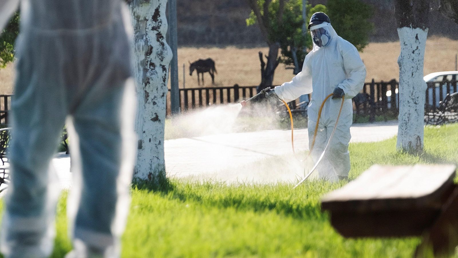 Fumigan parques y jardines para frenar el virus del Nilo