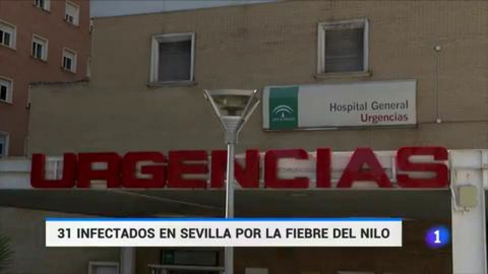 Telediario 1: Aumentan a 31, entre casos probables y confirmados, las personas afectadas por el virus del Nilo en Sevilla  | RTVE Play