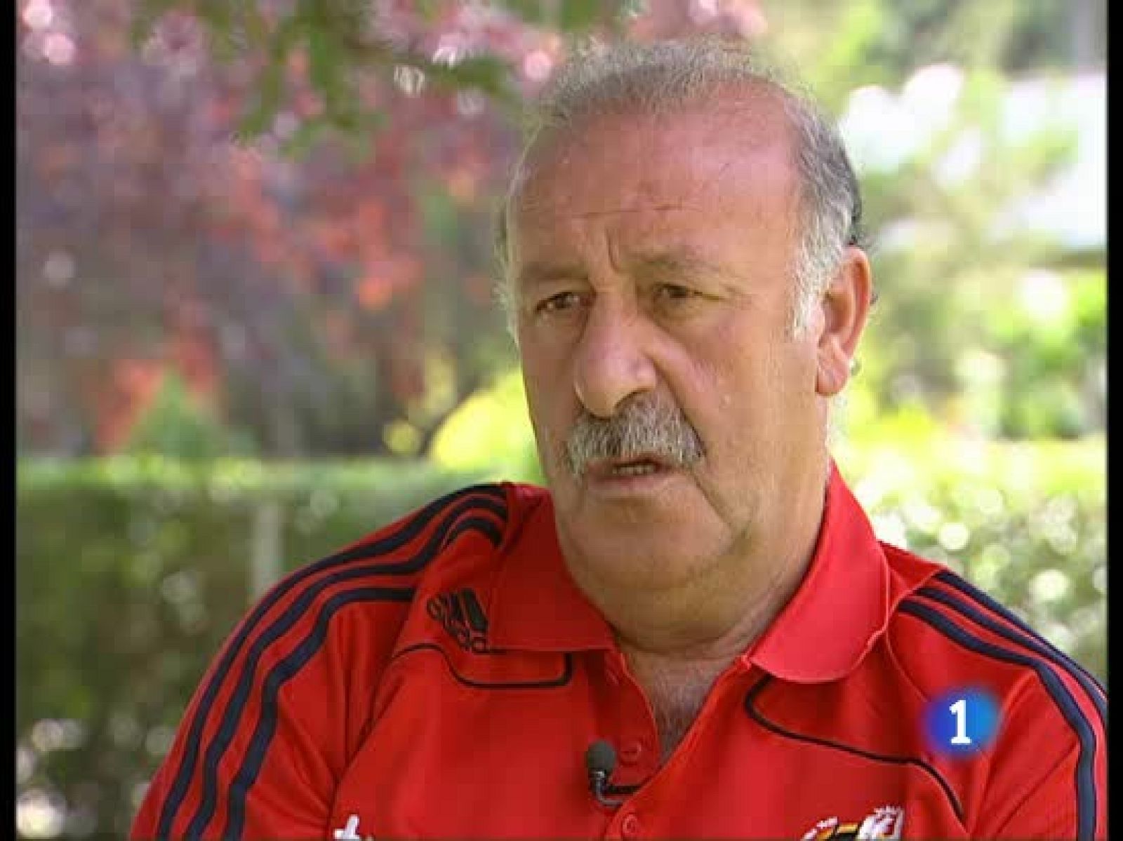 Del Bosque hace balance a punto de cumplir un año al frente del banquillo de la selección española.