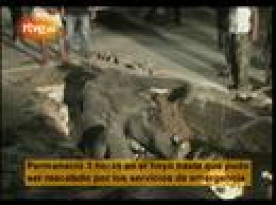  - Elefante atrapado en Tailandia