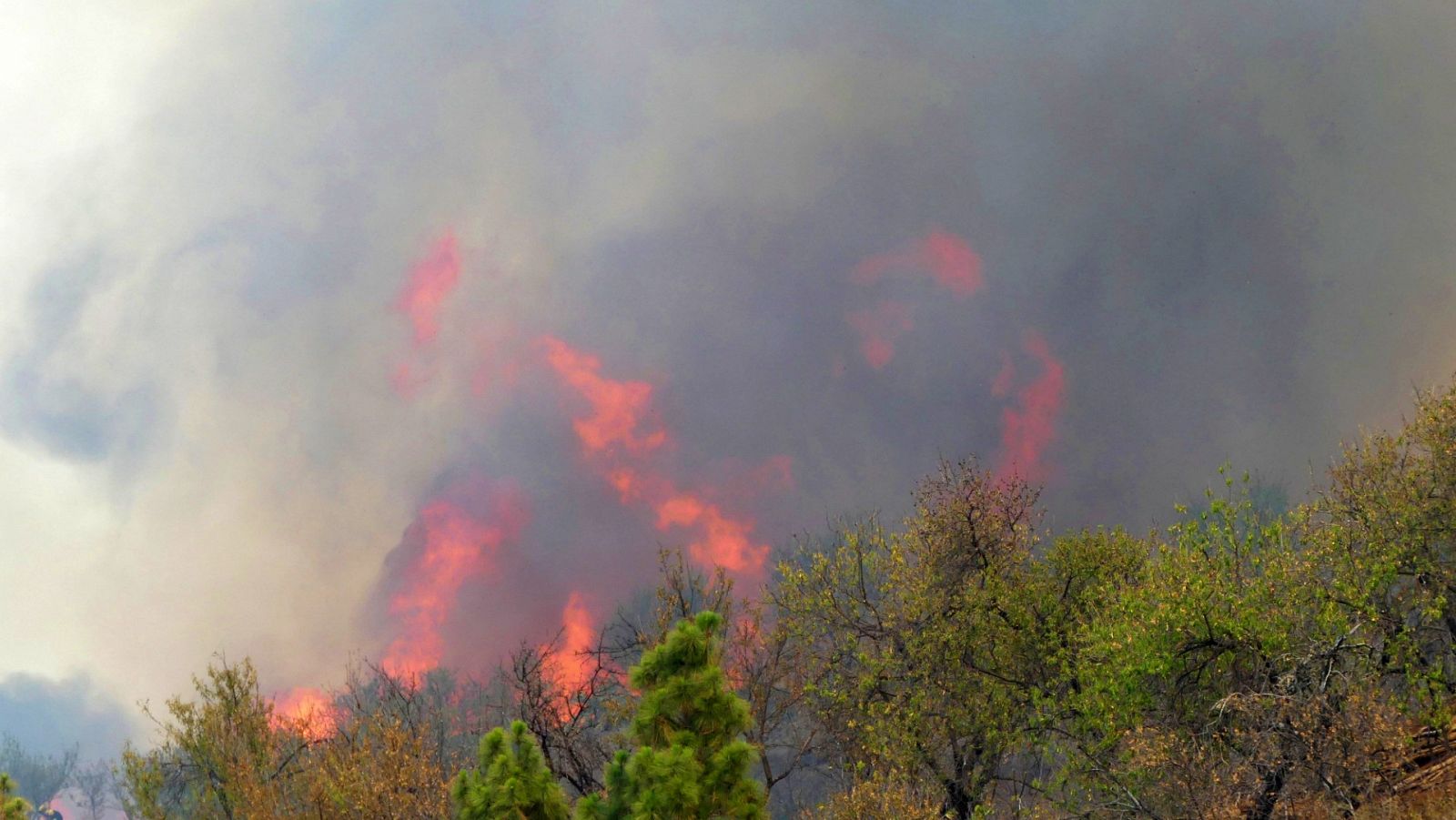 Los medios aéreos reanudan las labores de extinción del incendio de La Palma