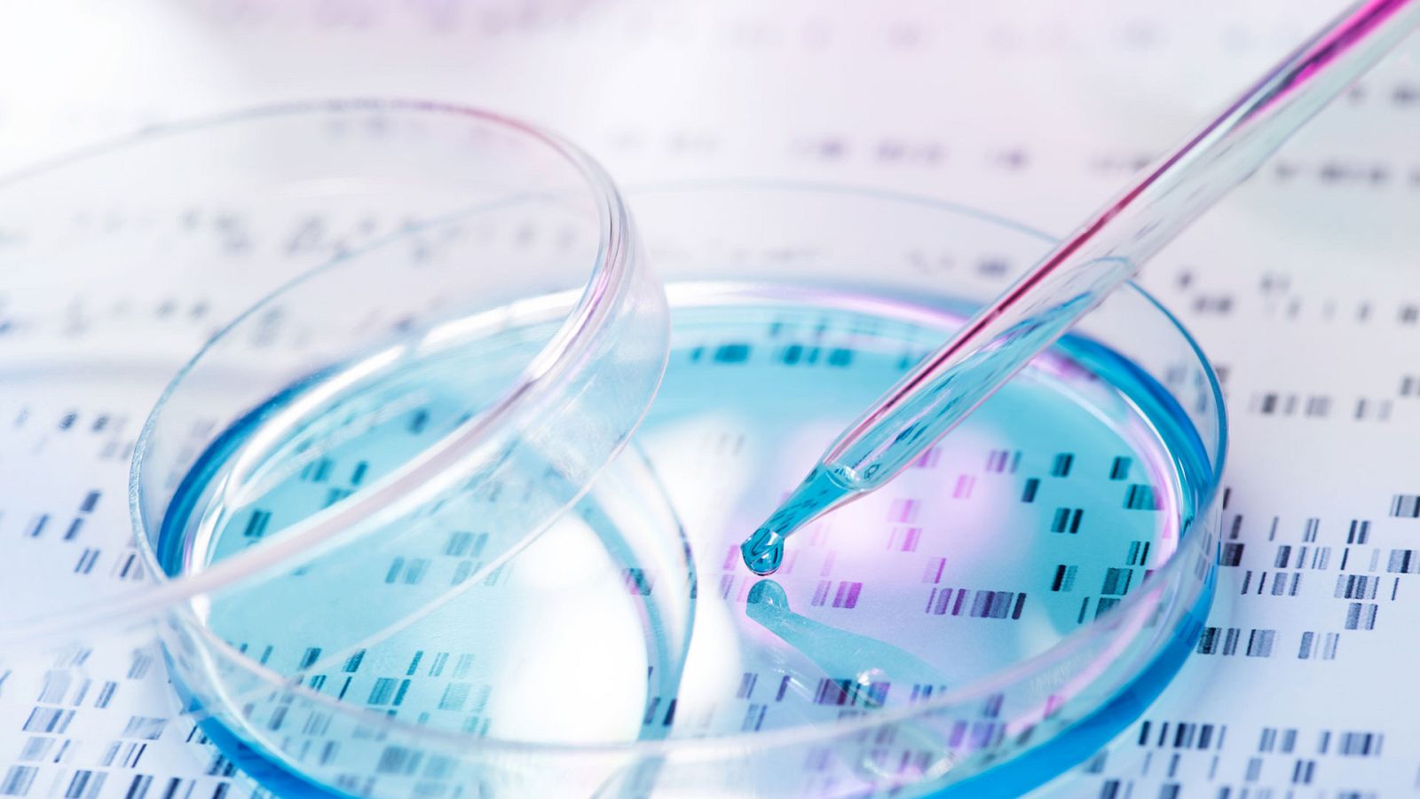 Otros documentales - La fuente de la vida - ver ahora