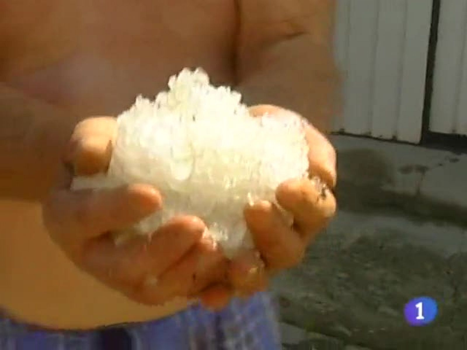 Noticias Castilla-La Mancha.Informativo de Castilla-La Mancha. (11/08/09)