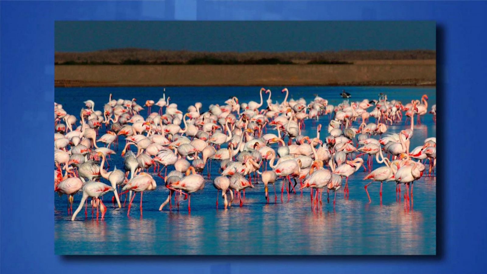 Saber y ganar - 27/08/20 - ver ahora