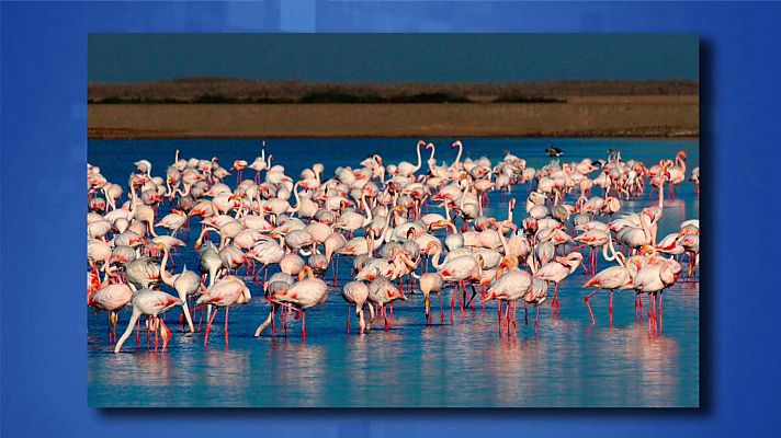 Saber y ganar - Saber y ganar - 27/08/20