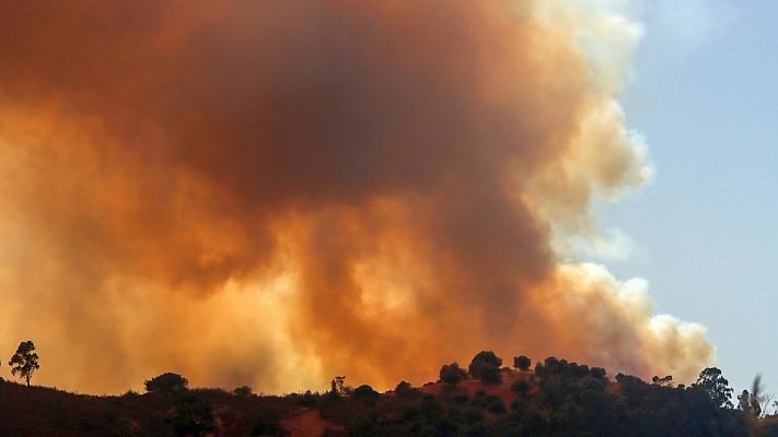 Telediario 1 - El incendio de Huelva continúa activo y deja 200 personas evacuadas