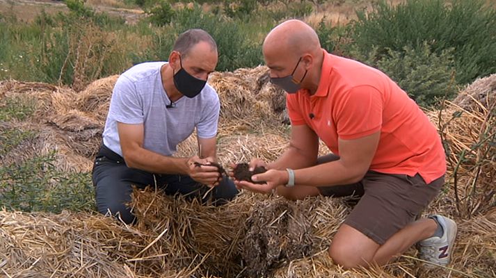 Aquí la Tierra - Aquí la Tierra - 28/08/20