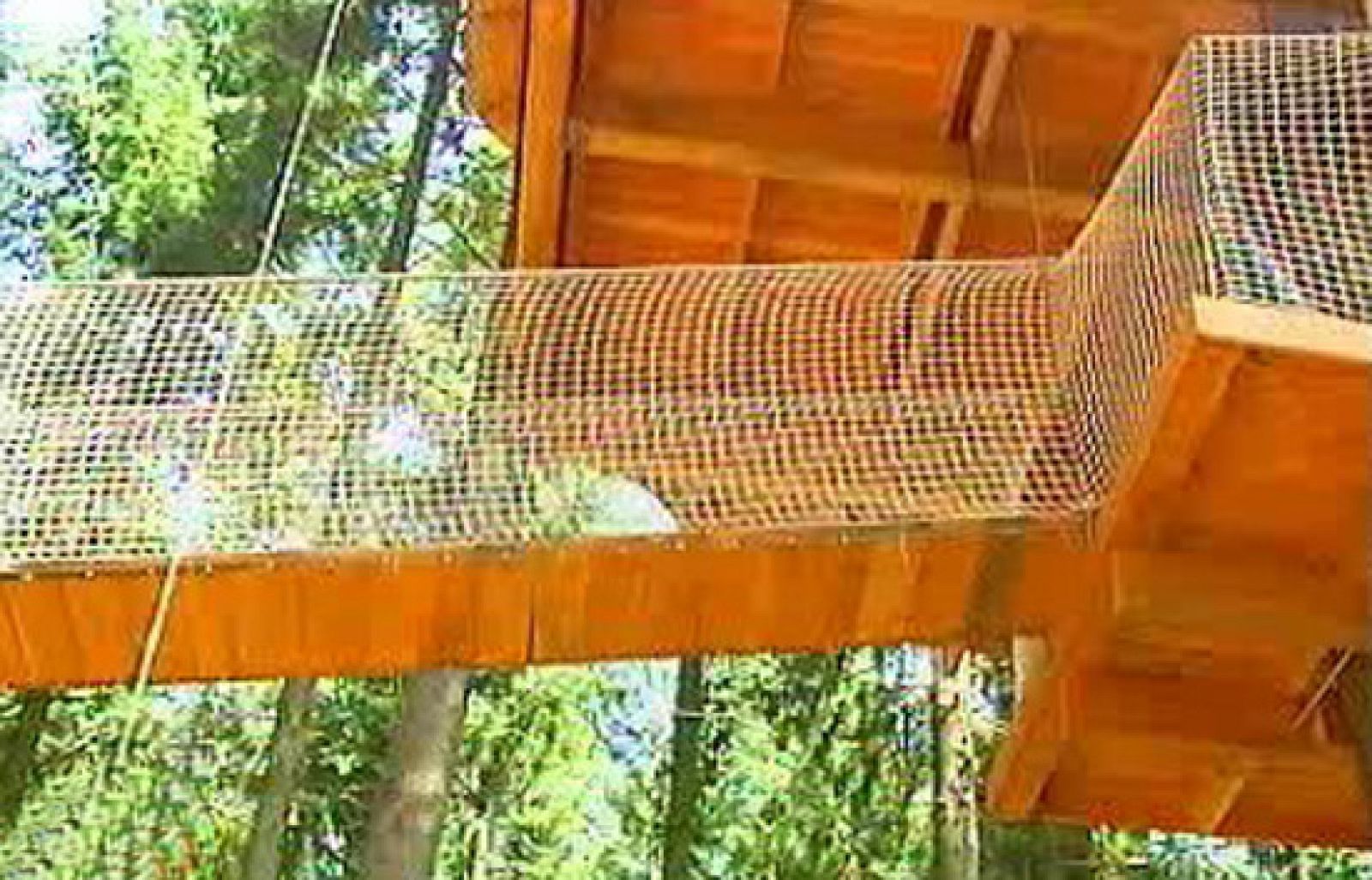 España Directo - Como Tarzán en la selva | Ver