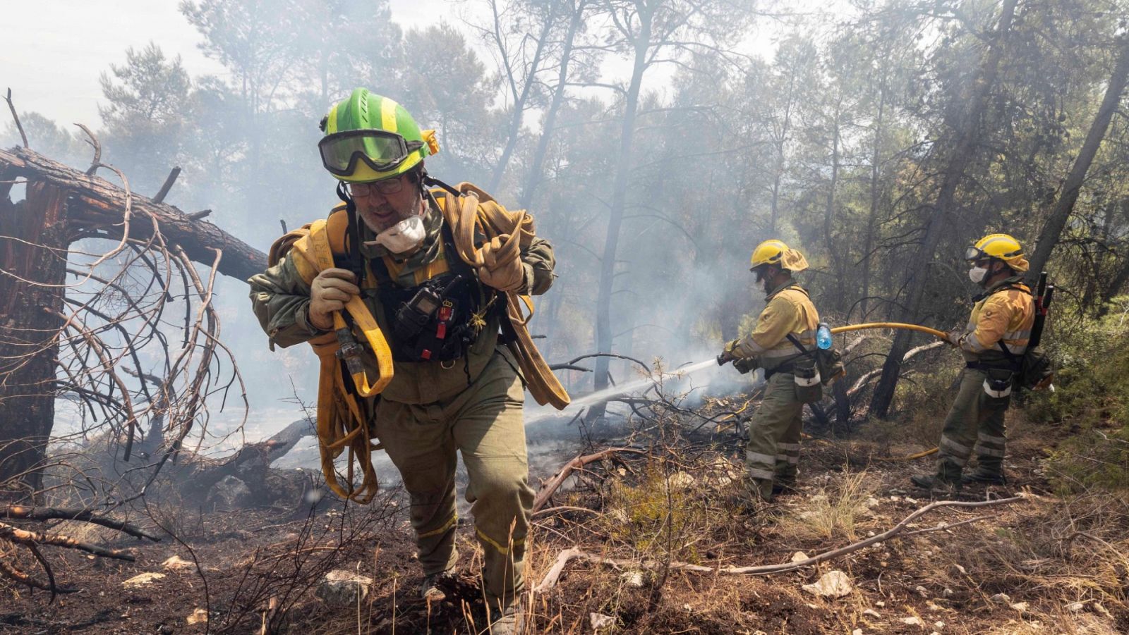 Brigadistas forestales trabajan en la extinción total del incendio de Sierra de la Silla