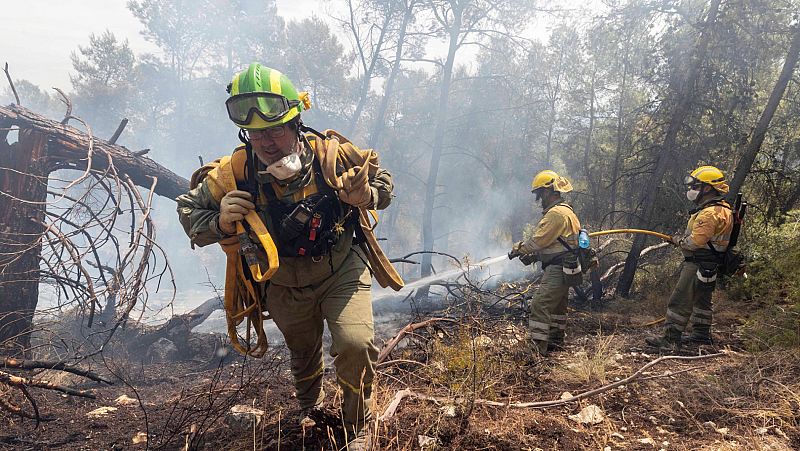 Brigadistas forestales trabajan en la extinción total del incendio de Sierra de la Silla