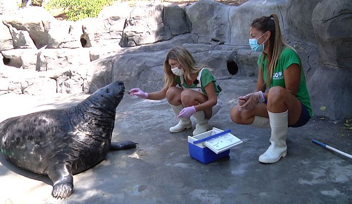 Aquí la Tierra - ¿Qué desayunan los habitantes del zoo?