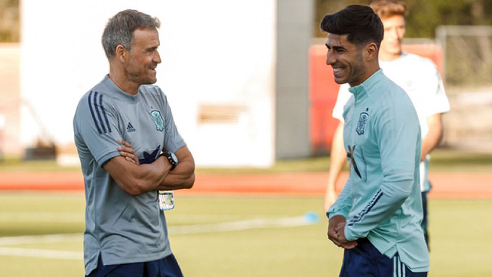 Selección | Marco Asensio causa baja por un edema en la rodilla - Informativo 24h | Ver