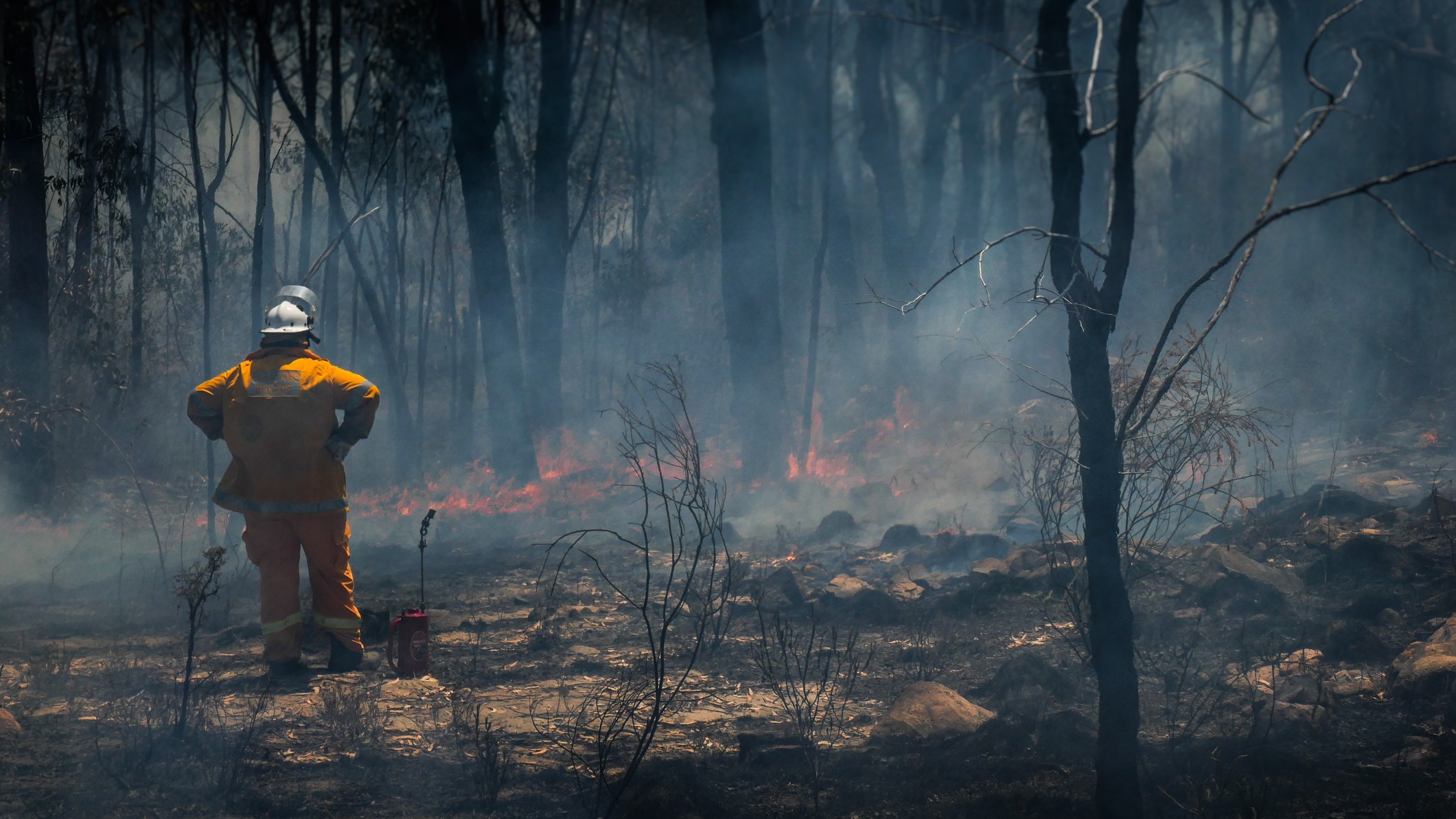 Las Consecuencias De Los Grandes Incendios