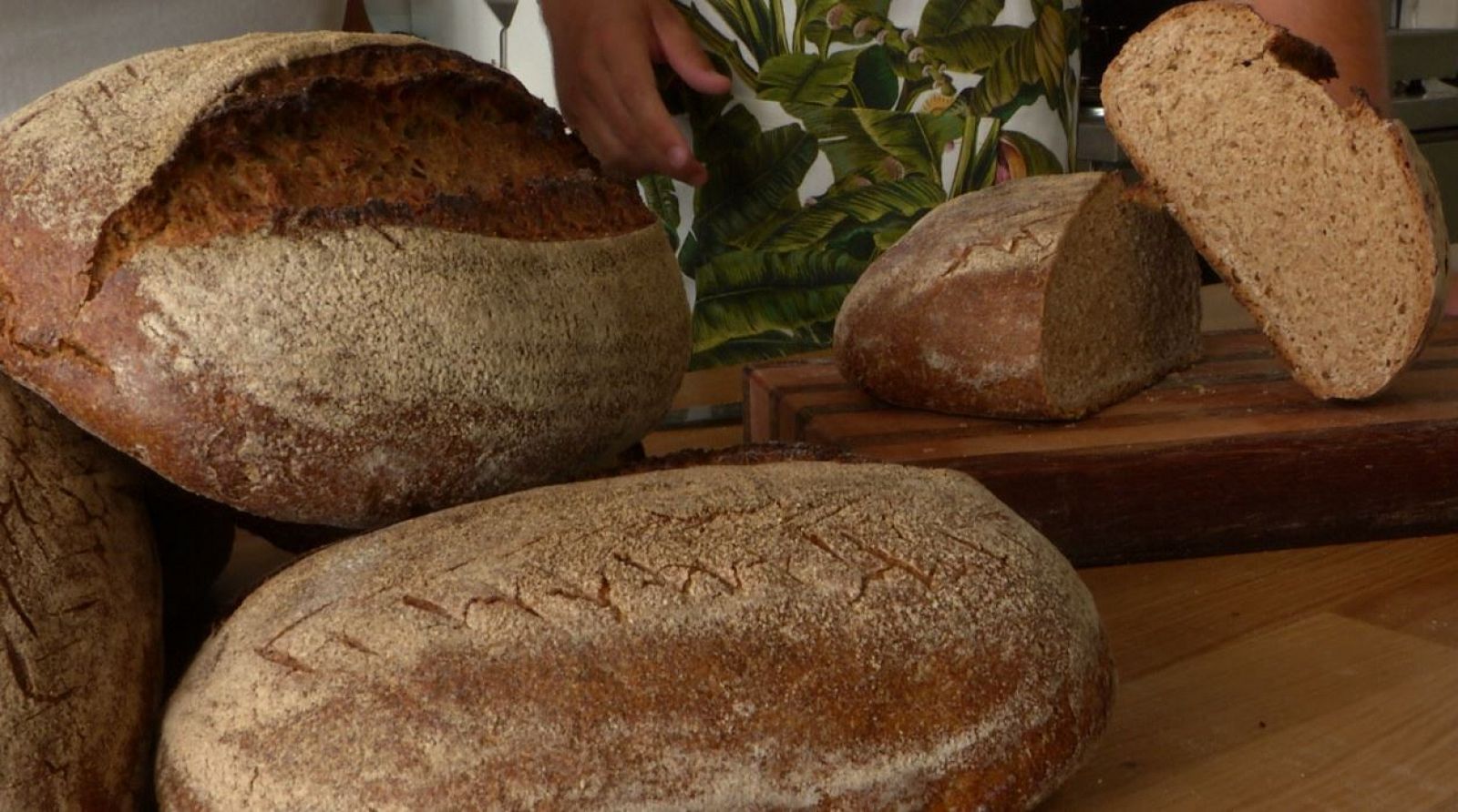 ¿Conoces el pan de espelta?