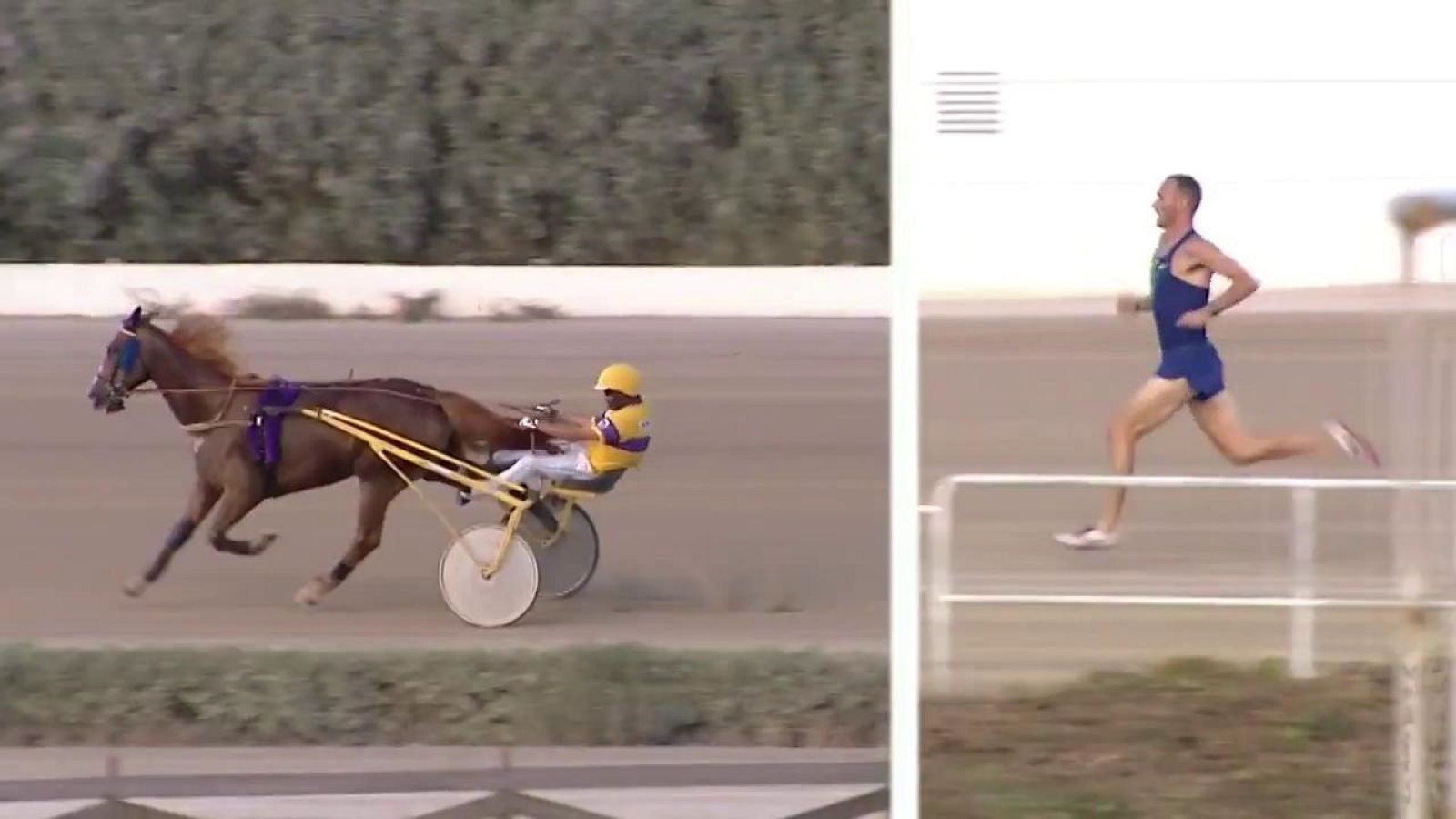 Hípica - Desafío atleta vs caballo - ver ahora