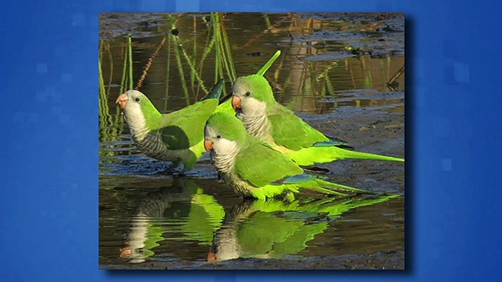 Saber y ganar - Saber y ganar - 03/09/20