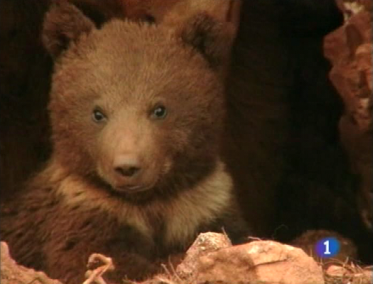 Panorama Regional - Panorama regional - 12/08/09