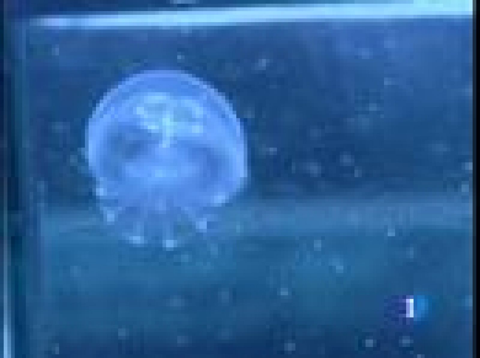 Sin programa: Menos medusas en nuestras playas | RTVE Play