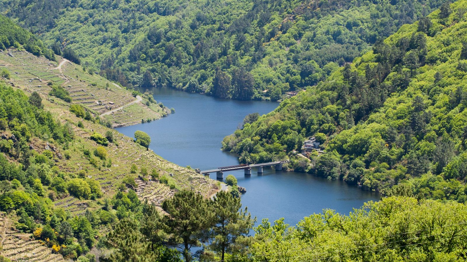 Temperaturas significativamente altas en puntos del Cantábrico oriental y del sur de Galicia - ver ahora