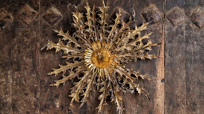 España Directo - España Directo - 04/09/20