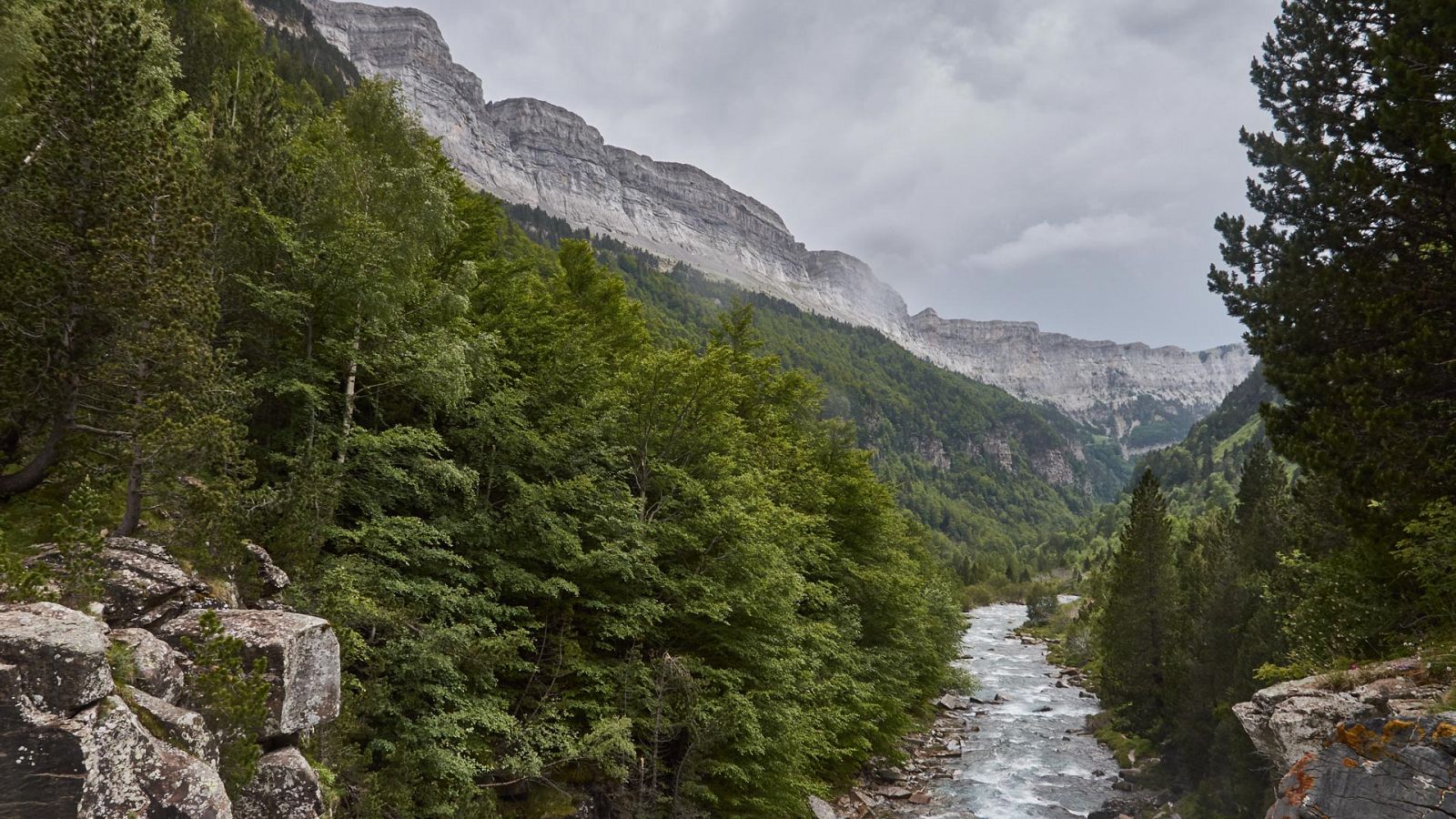 Chubascos y tormentas localmente fuertes en el Pirineo catalán y litoral central - Ver ahora