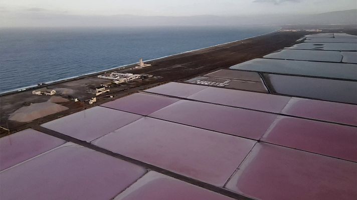Aquí la Tierra - ¿Cómo se obtiene la sal que luego consumimos en casa?