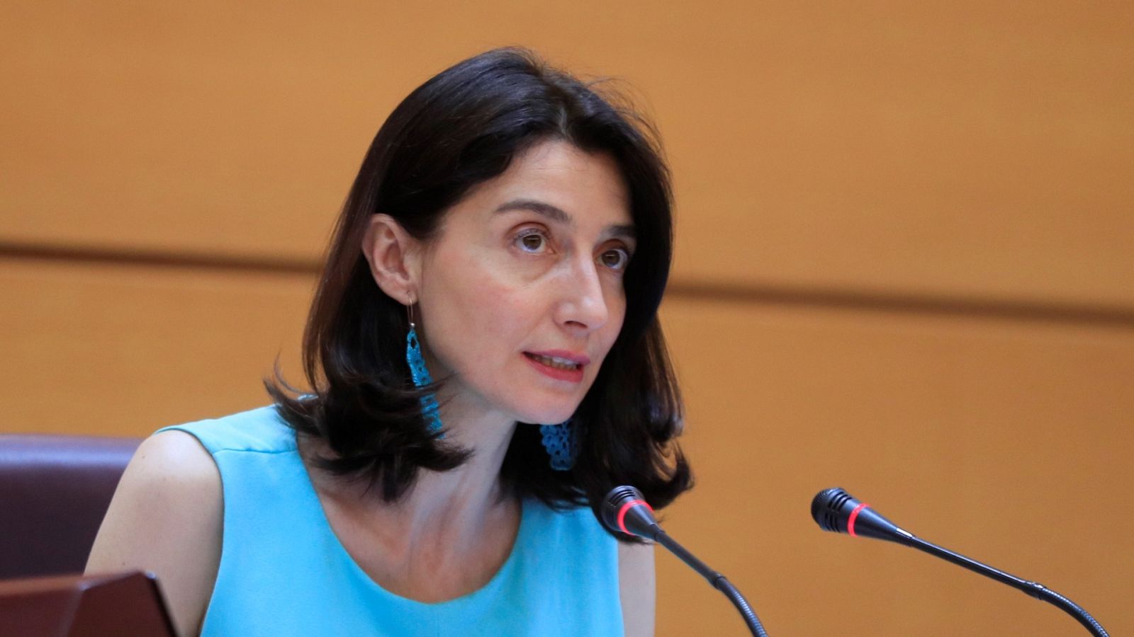 La presidenta del Senado hace una llamamiento a "rebajar la crispación" para salir de la actual crisis