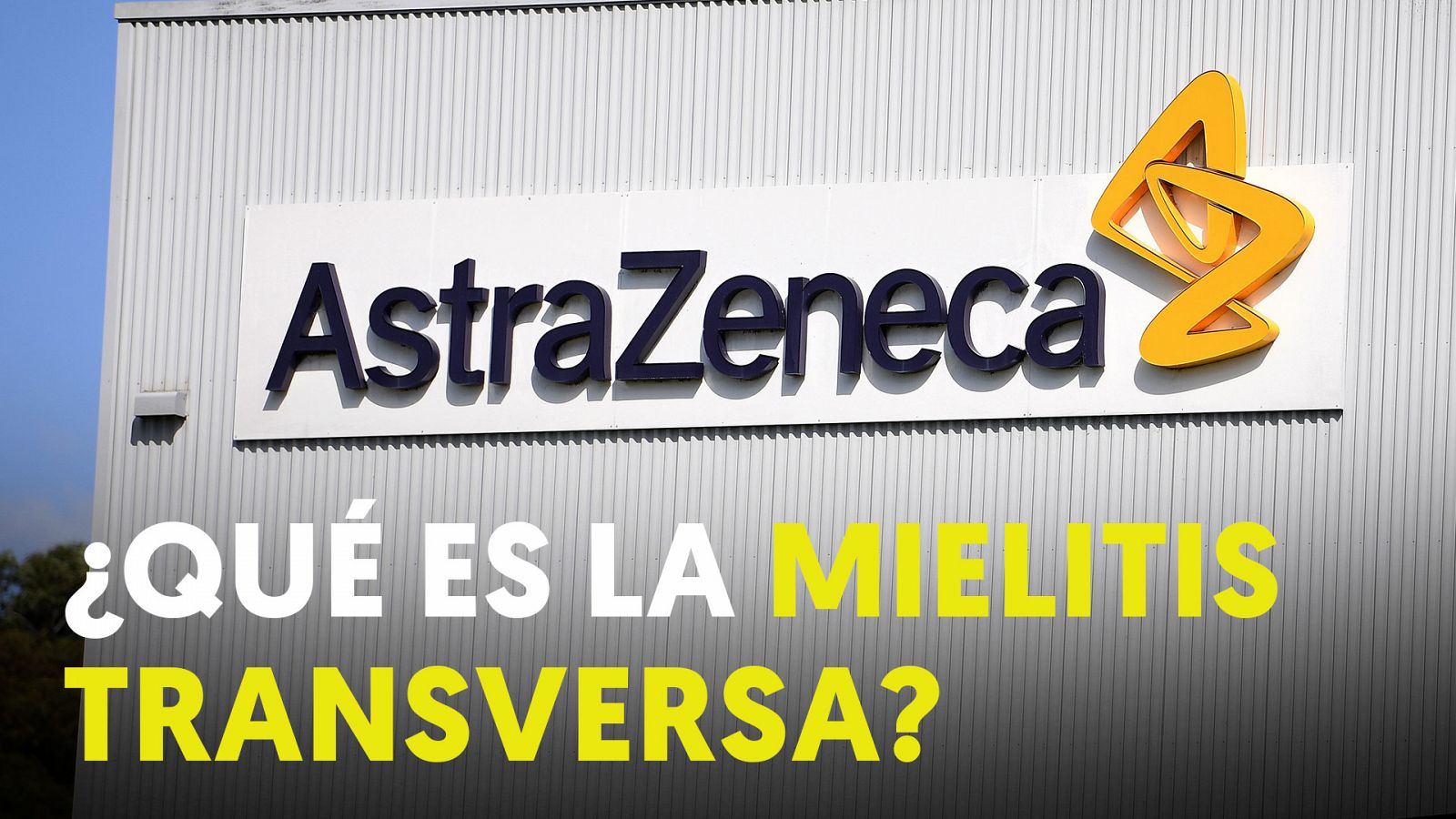 ¿Qué es la mielitis transversa?