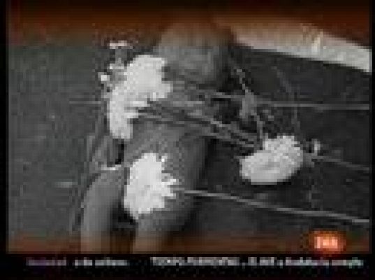  - Anuladas las sentencias en Chiapas