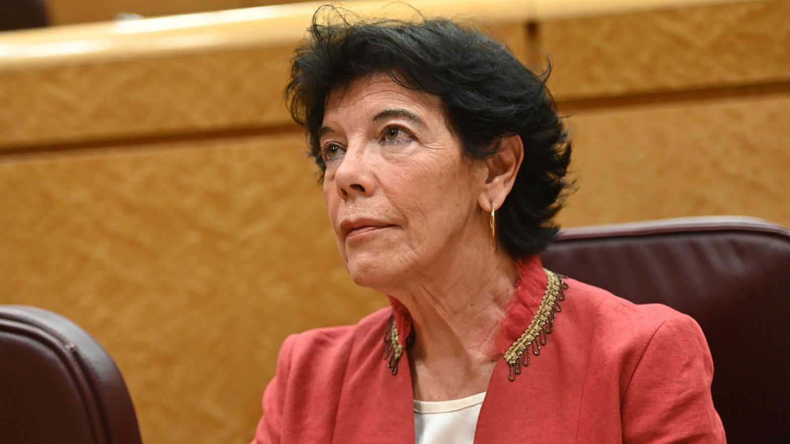 Celaá: "Las reuniones sobre la vuelta al colegio empezaron en mayo"