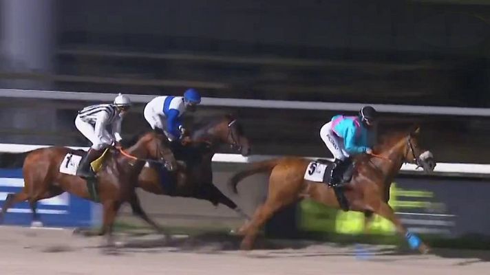 Hípica - Circuito nacional de carreras de caballos (Hip. la Zarzuela