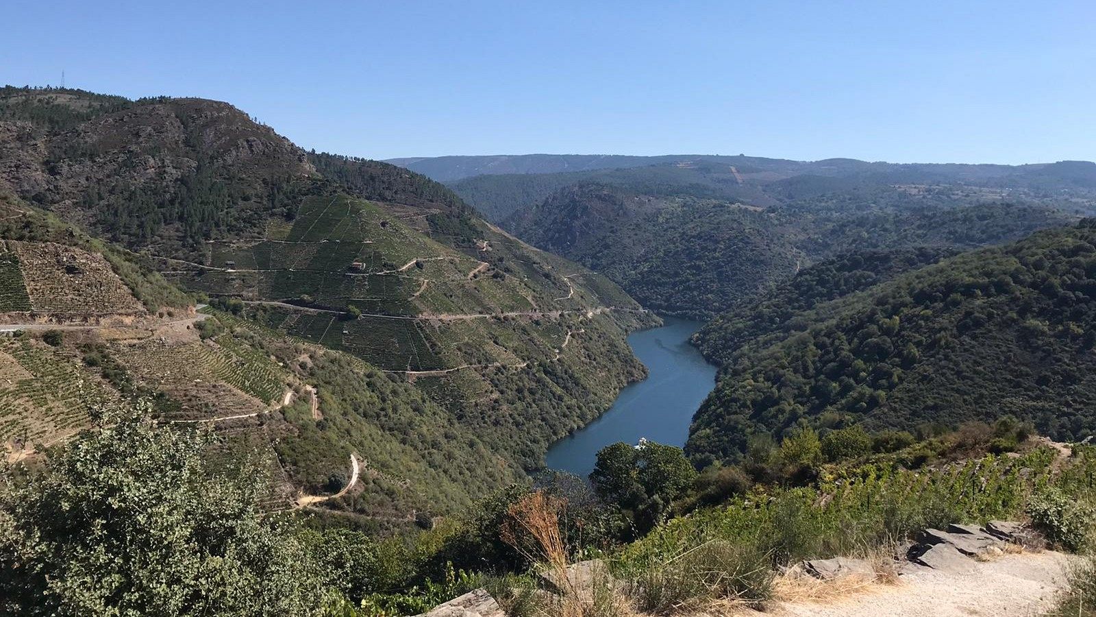 España Directo - 11/09/20 - ver ahora