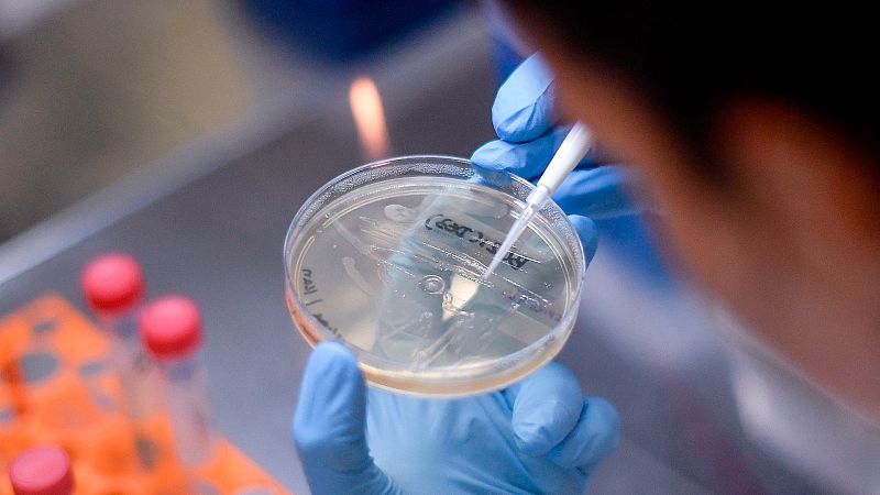 Comienzan en España los ensayos con voluntarios para la vacuna de la farmacéutica Janssen