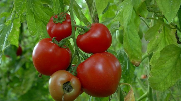 Aquí la Tierra - Aquí la Tierra - 13/09/20