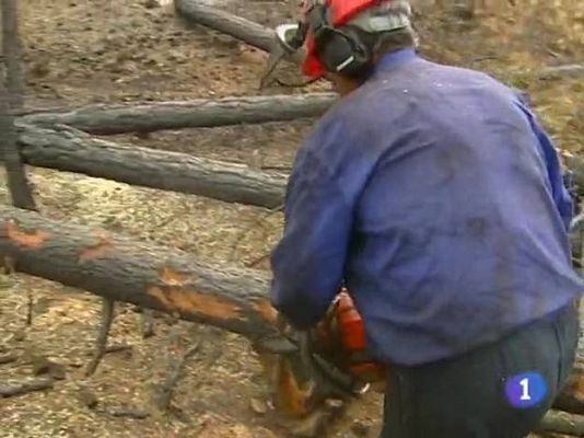 Noticias de Castilla-La Mancha - Noticias de Castilla-La Mancha - 13/08/09