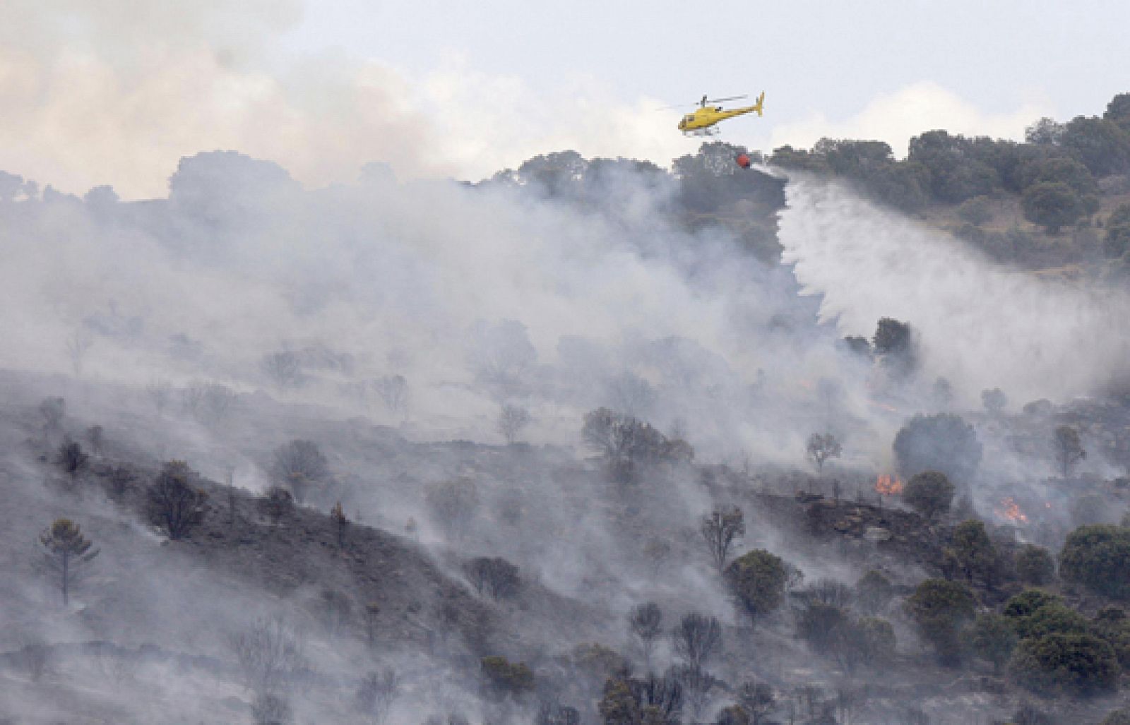 De momento se han calcinado en España unas 76.000 hectáreas