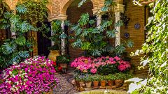 España Directo - Los patios de Córdoba se visten de gala