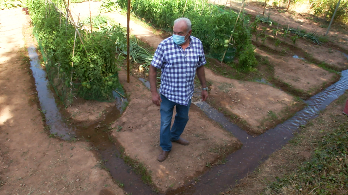 Agua de manantial: así es este centenario sistema de regadío