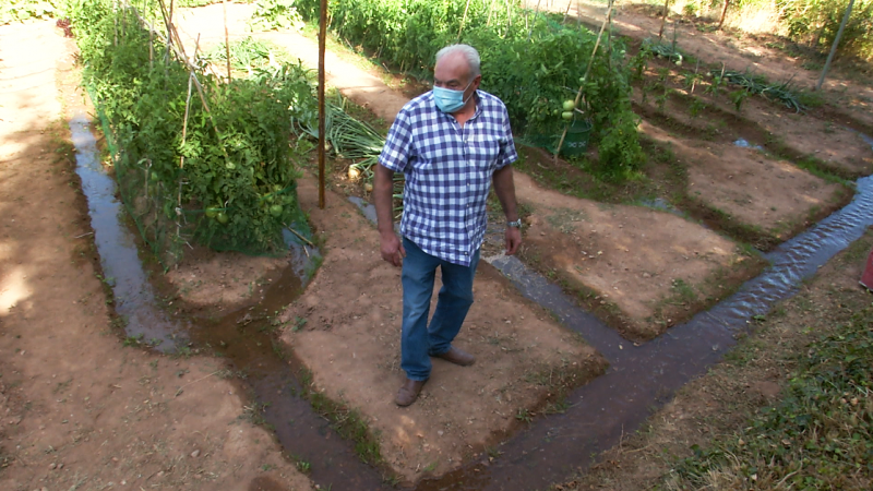 Aquí la Tierra - Agua de manantial: así es este centenario sistema de regadío