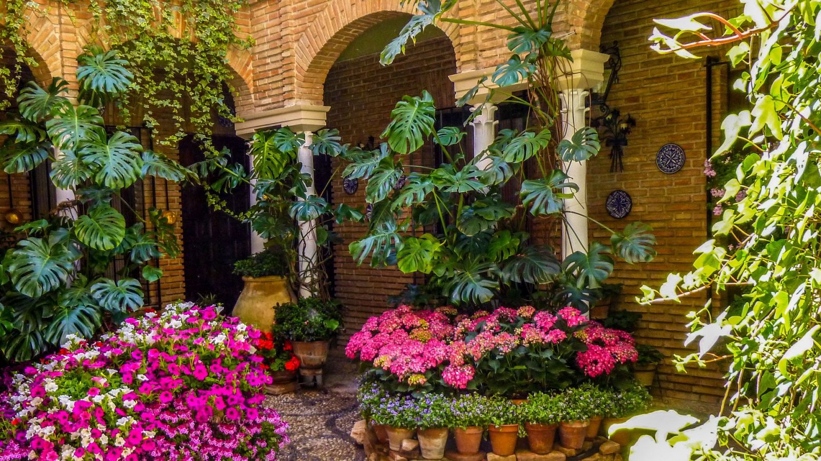 España Directo - 16/09/20 - ver ahora