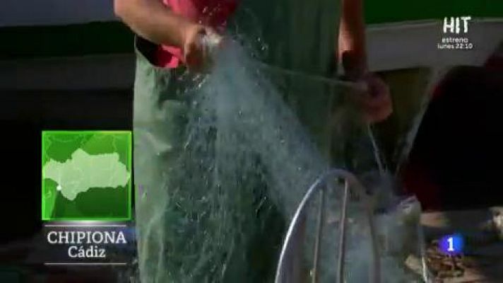 Aquí la Tierra - Langostinos de Chipiona: nos enseñan la tradición pescadera