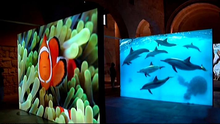 La hora cultural - La hora cultural - 16/09/20