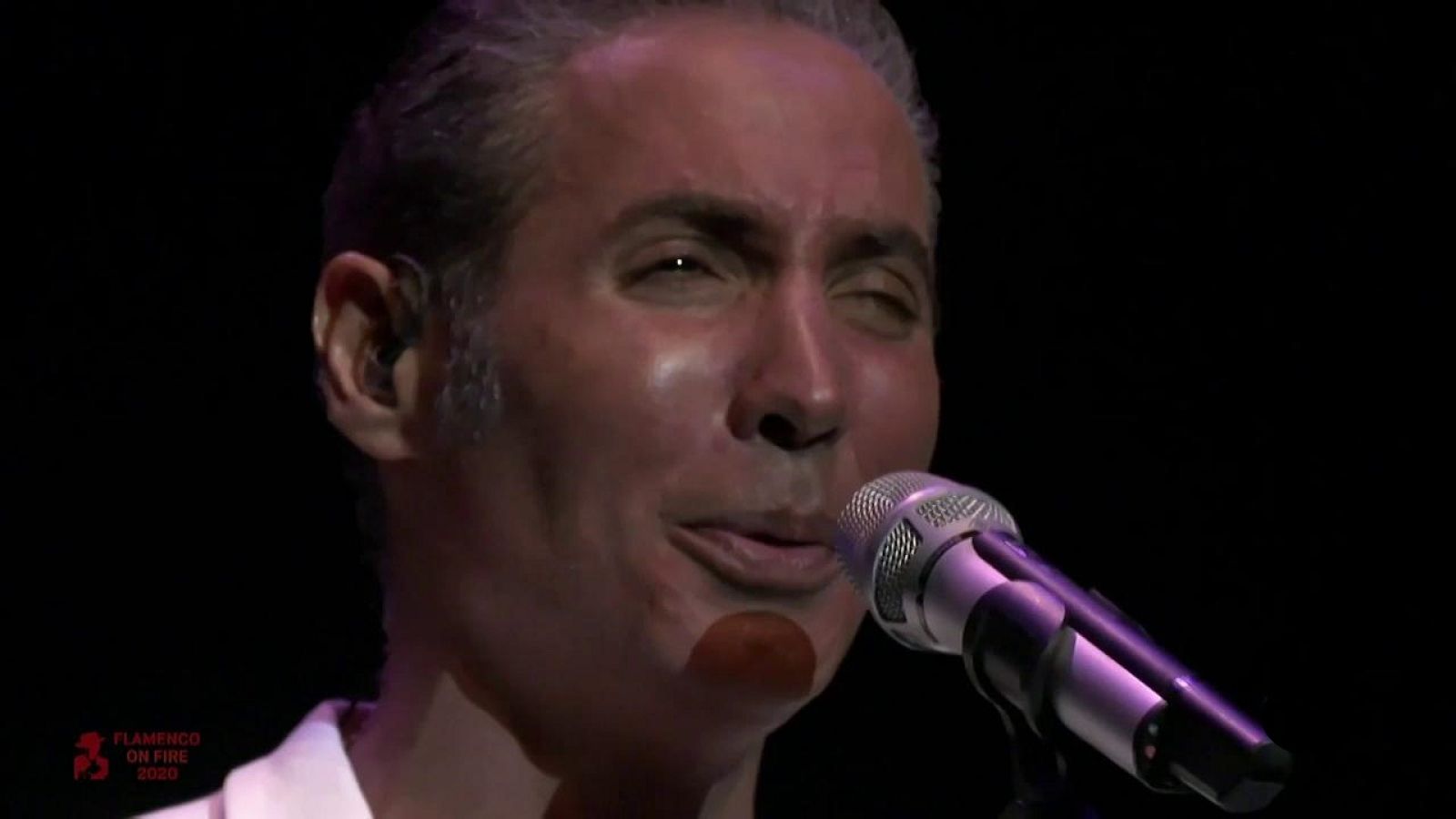 Festivales de verano de La 2 - Flamenco On Fire - 3º Programa resumen - ver ahora