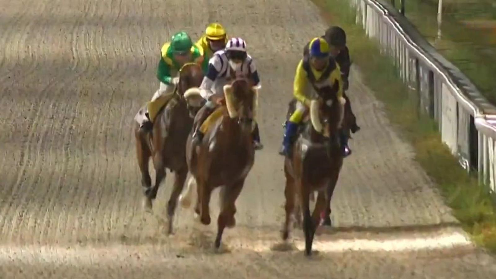 Hípica - Circuito nacional de carreras de caballos, desde el Hipódromo de La Zarzuela (Madrid) - RTVE.es