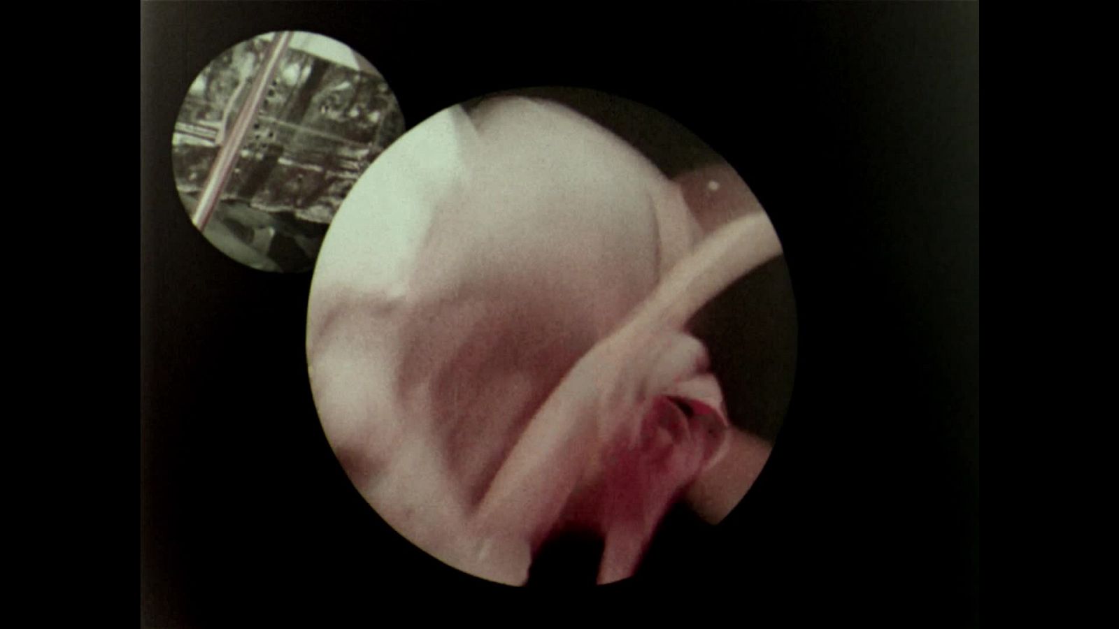 Raíces - Seises de Sevilla - Raíces | Ver