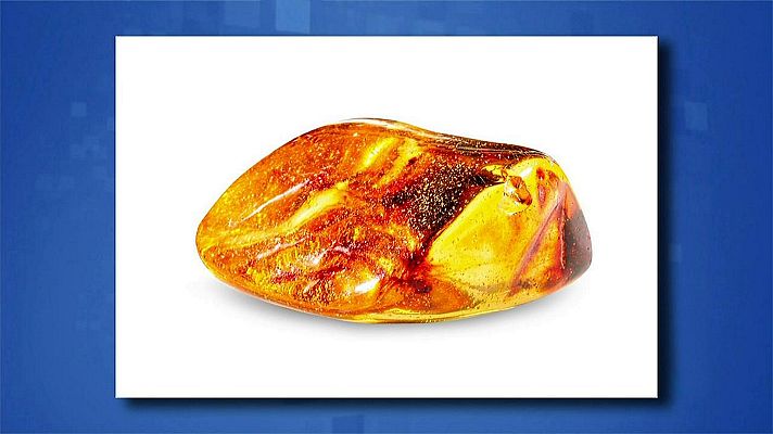 Saber y ganar - Saber y ganar - 18/09/20